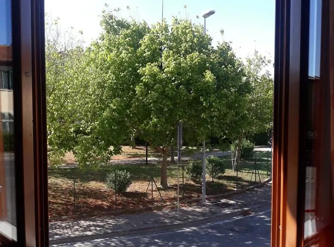 Da Hele & Zozi Lejlighed *